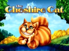 cheshire cat