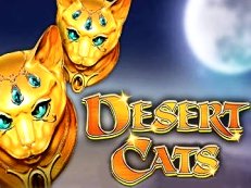 desert cats